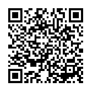 叶笑紧赶慢赶总算是将自己最想表达出来的意思说出来了二维码生成