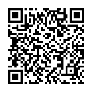 叶箐昱似乎看到了我的不耐和双目中闪过的一抹抗拒二维码生成