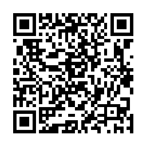 叶紫苏能看得出爱娜是把所有的心思都放在了王铮的身上二维码生成