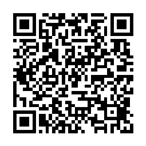叶红尘和金龙白凤对于这一巨变也都是一头雾水二维码生成