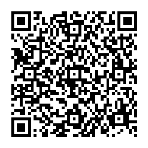 叶绪平和财政局副局长王志高严厉的叱责声也没有能让整个财政局小楼里的震撼感消失多少二维码生成