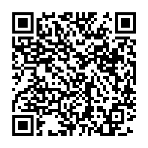 叶芊芊可以清楚的感觉到一千多米之外有一只甲壳虫正在刨着沙子二维码生成