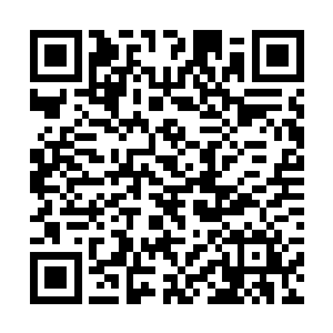 叶芷蔚想起似乎许久未曾与风暮寒这样悠闲的散步了二维码生成