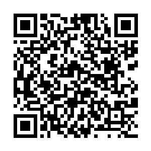 叶芷蔚是在回了摄政王府后才知道风暮寒去了英王府二维码生成