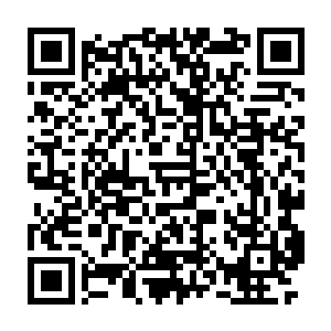 叶芸怀着对未来的紧张与不安满怀期待的跟随着旁人一起迈入传送阵中二维码生成
