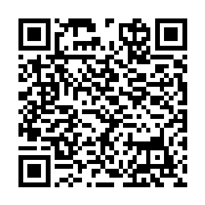 叶芸跟随在带领他们前往任务地点的宗门长老身后二维码生成