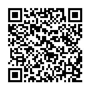 叶莫刚刚在这片无名的世界飞行几个呼吸的时间二维码生成