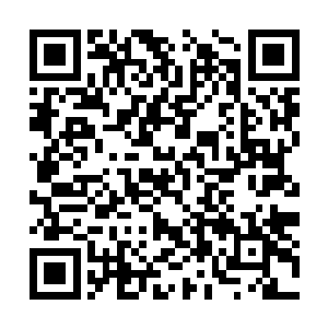 叶莫当初从血刀狱尊的手中抢夺而来的太古血魔珠二维码生成