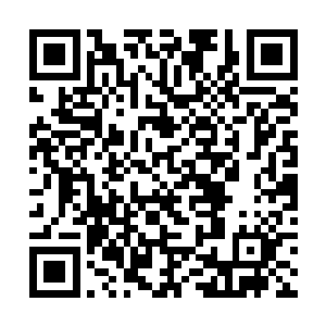 叶莫每天吸收的天地元气全部都用来温养父亲的身体二维码生成