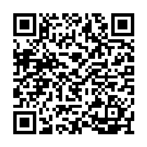 叶莫还是一口直接将所有的修罗神血液给吞掉了二维码生成