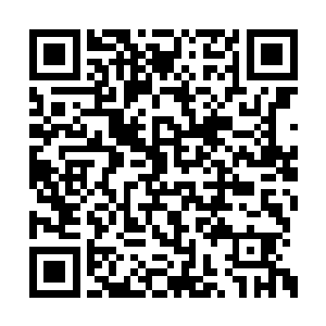 叶莫还是头一次听到符胖子发出如此震惊的声音二维码生成