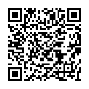 叶虞虽然通过系统知道白素贞得蒙观音大士点化二维码生成