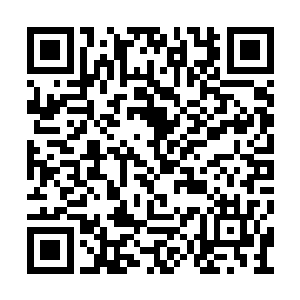 叶虞还清晰地记得初次见面的时候少年说他带面二维码生成