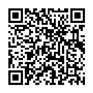 叶问天黑金色的毁灭之手突然变成了白金色的创造之手二维码生成