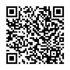 叶阑珊那三岁孩子的智商在她面前根本藏不住什么情绪二维码生成