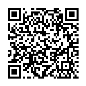 叶青只告诉几个仙王――自己能确保突袭的悄无声息二维码生成