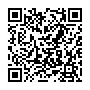 叶青在侧眯着眼睛看这对姐妹道侣重逢的喜庆场面二维码生成