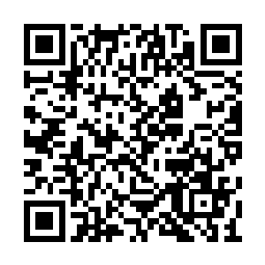 叶青已经跑了出来拉住夜染的胳膊就冲回了房间二维码生成