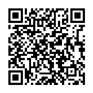 叶青拿一截枯干树枝在地面土壤上画了炎宵大陆草图二维码生成