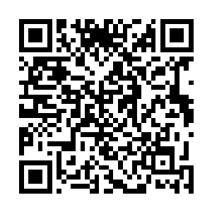 叶风声正在想着怎么样劝说自己的姐姐打消这样的念头时二维码生成