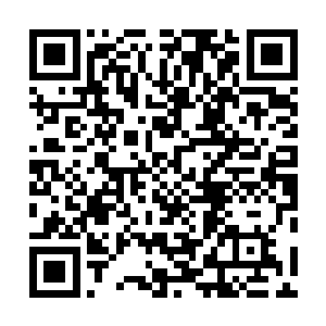 号称是整个神武大陆之上天武境界之中最顶级的疗伤丹药二维码生成