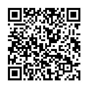 号称火焰之祖的混沌之火都是爆发出了他们的力量二维码生成