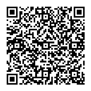 号称能在阴界中与混元强者一较高下的酆都大帝居然就这么直接被元始天魔一拳接一拳的轰击得连连后退二维码生成