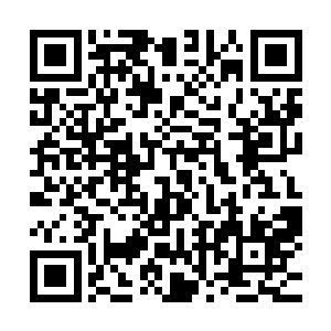 司徒家与沐家等几个原本的二流世家本就与自己站在同一阵线二维码生成