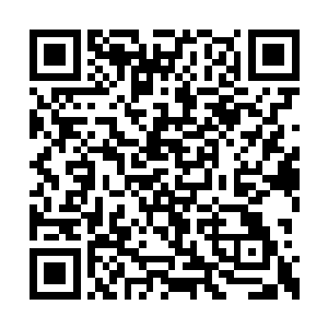 司徒少锋只能够硬着头皮将价格喊道了九千万上二维码生成