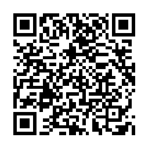 司徒掌门和一直在他身后的沐谨脸色都不禁一变二维码生成