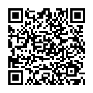 司徒无畏和王越天都看了眼对方胳膊上扎的红巾二维码生成