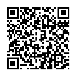 司徒波将自己之前所看到的消息重新复述了一遍二维码生成