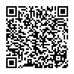 司徒镇长专门把新仙桃村代理村长雷欢喜和村支书齐志成留了下来二维码生成