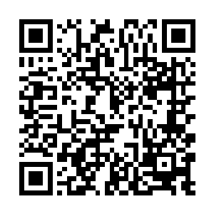 司徒青锋看着萧易的脸上似乎完全认不出自己的样子二维码生成