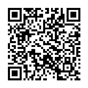 司护法和洛护法每年这个时候都会在往生岛上检阅新一批杀手二维码生成