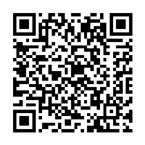 司无极与龙狼几乎同时感受到了一股排山倒海般的压迫之力二维码生成