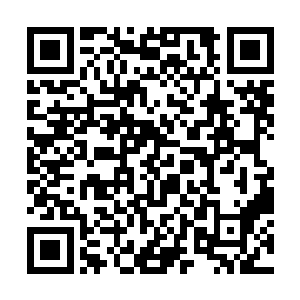 司末萧和柳非笑两人已经不在是只承认夜染的实力了二维码生成