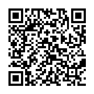 司直的小黄门透露说圣上准备迁你为景王府侍读学士二维码生成