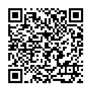 司空苏娜只脸色愈难看的继续窝进长裙中艰难的穿着二维码生成