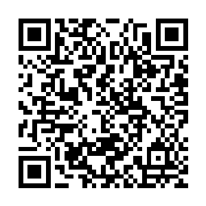 司空青御就跟个长颈鹿似的够着脖子死盯着斜对面那扇紧闭的门二维码生成