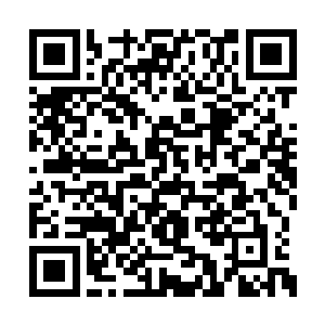 司空青御语重心长的和连俢肆之前说了一样的话二维码生成