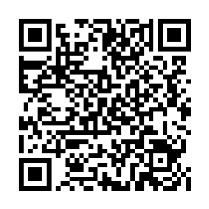 司辰和她早在救龙尊的时候就已经是契约关系了二维码生成