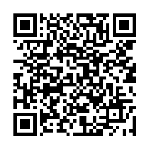 司马凌轩的第十三对手和前面一样选择了直接认输二维码生成