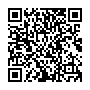 司马十七郎对于军中对王妃的崇敬之情一向都是是持支持态度的二维码生成