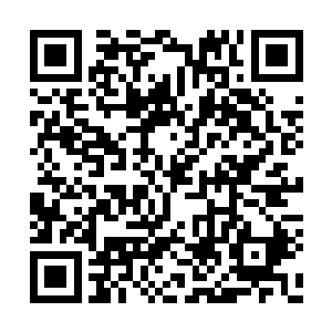 司马十七郎是在去皇陵的路上才说出了他的打算二维码生成