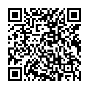司马十七郎的付出不比卢八娘平时与所有人交情浅淡二维码生成