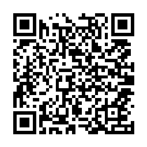 司马十七郎进来时他正坐在炕上用细竹条编着竹器二维码生成