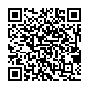 司马师和司马昭兄弟二人遂是指挥着大军人马在原地扎据起来二维码生成