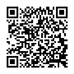 司马懿只觉自己此时就像是被一条有着剧毒的毒蛇盯住二维码生成