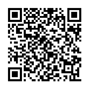 司马明光和刁柴根本就没有听说过这等凶残之物二维码生成